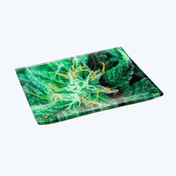 V Syndicate Glass Rolling Tray - 420