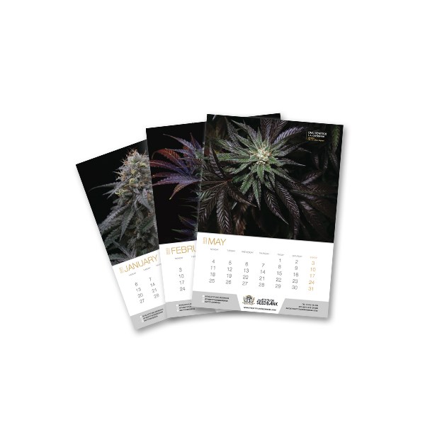The Attitude Seedbank The Most Elite Cannabis Strain Collection Calendar 2020