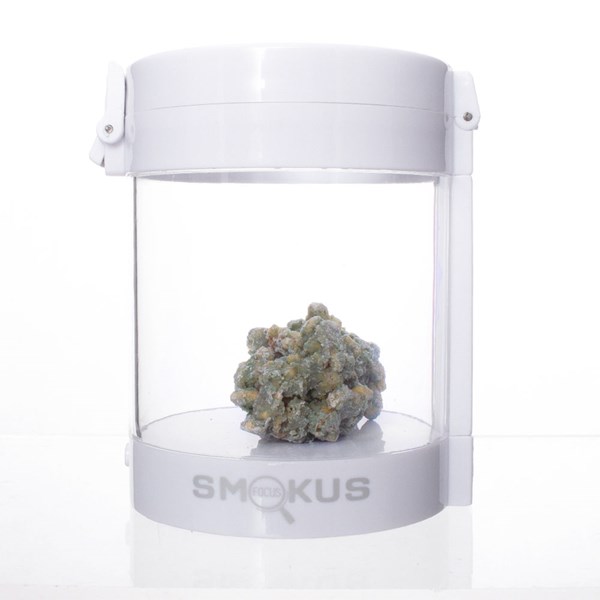 Eclipse Jar by Smokus Focus - Stash Jar with LED Magnification